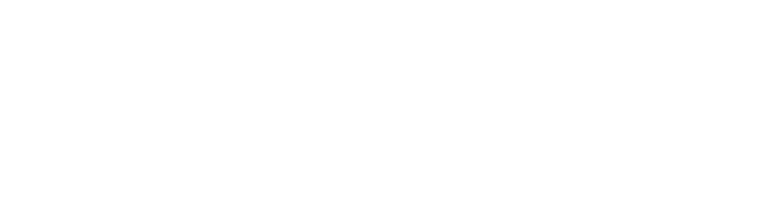 Playfolly